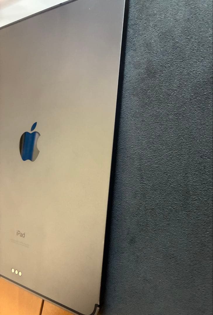 純正ケース付Apple iPad Pro セルラー 11インチ 256GB