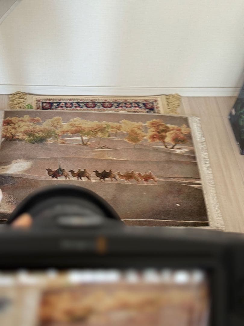 Blackmagic Pocket Cinema Camera 4K本体箱AC付