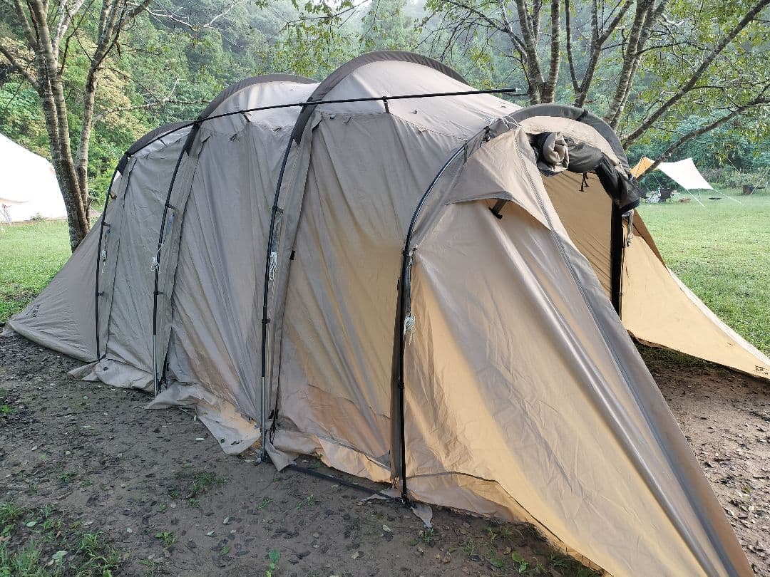 【オフシーズン割！！】サバティカル　アルニカ