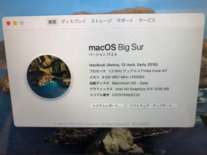 その他 MacBook(Retina,12-inch,Early 2026)