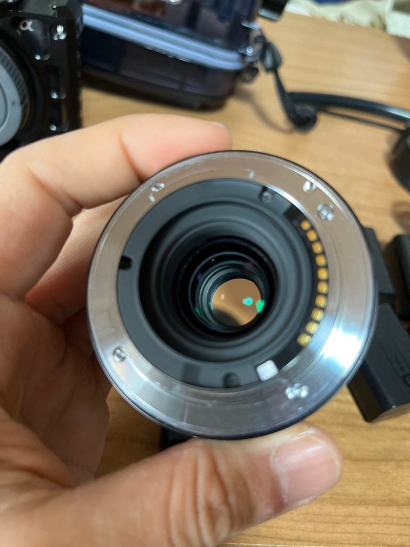 SONY α6400 + Sigma 19mm f2.8 + 水中ケージ