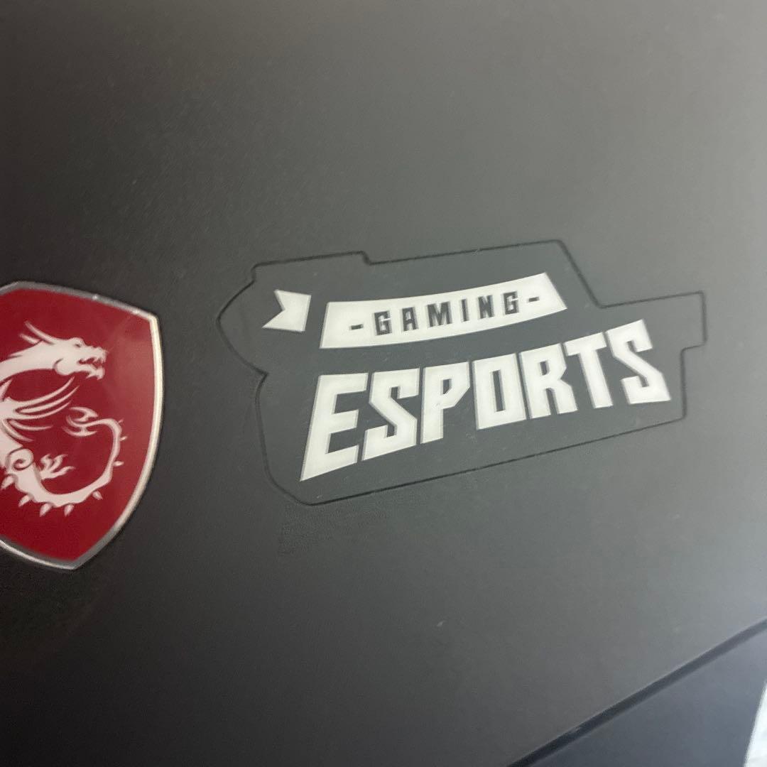 MSI OPTIX Mag 251rx 240hz ゲーミグモニター