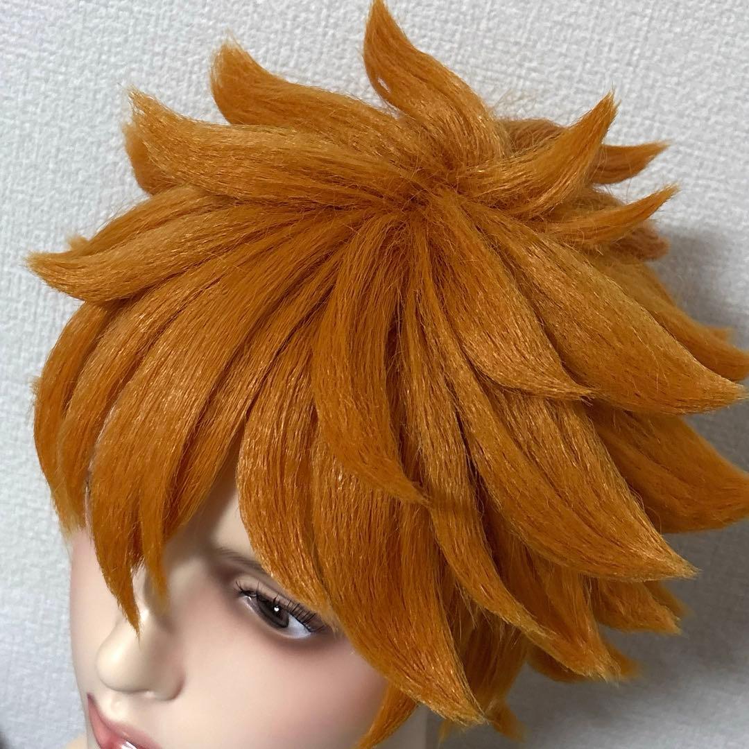 ハイキュー コスプレ ウィッグ 日向翔陽