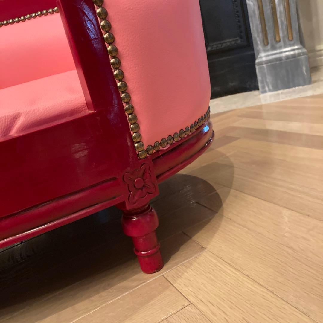 ピンクサロン小型犬