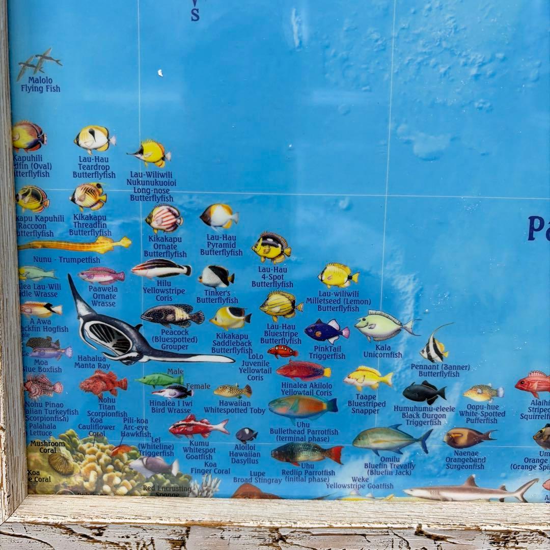 ハワイ島の説明絵画