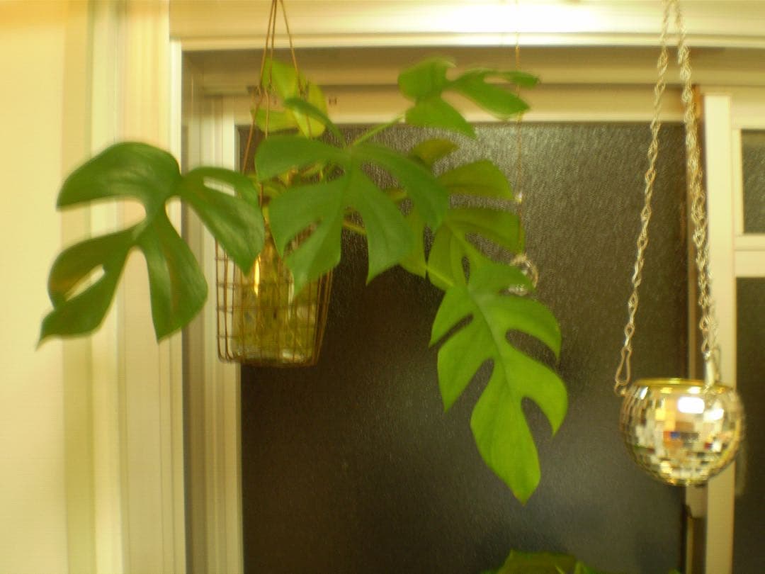 【動作確認済み】OLYMPUS FE-220 本体のみ