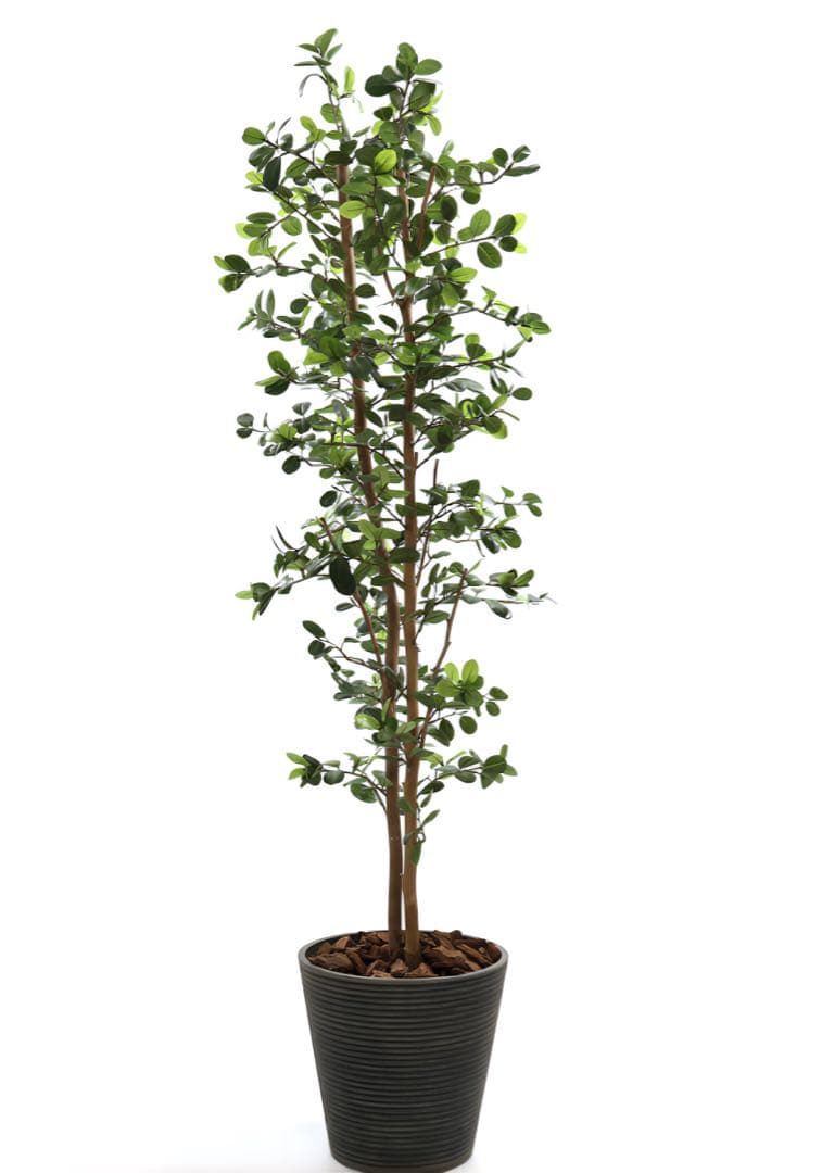 光触媒　人工観葉植物　ウォールグリーン　フェイクグリーン　ガジュマル160ajt