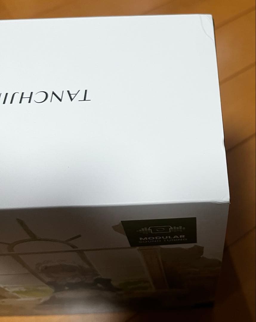 J*I様 【外箱少し凹み・イヤホン包み紙色移りあり】TANCHJIM Lost