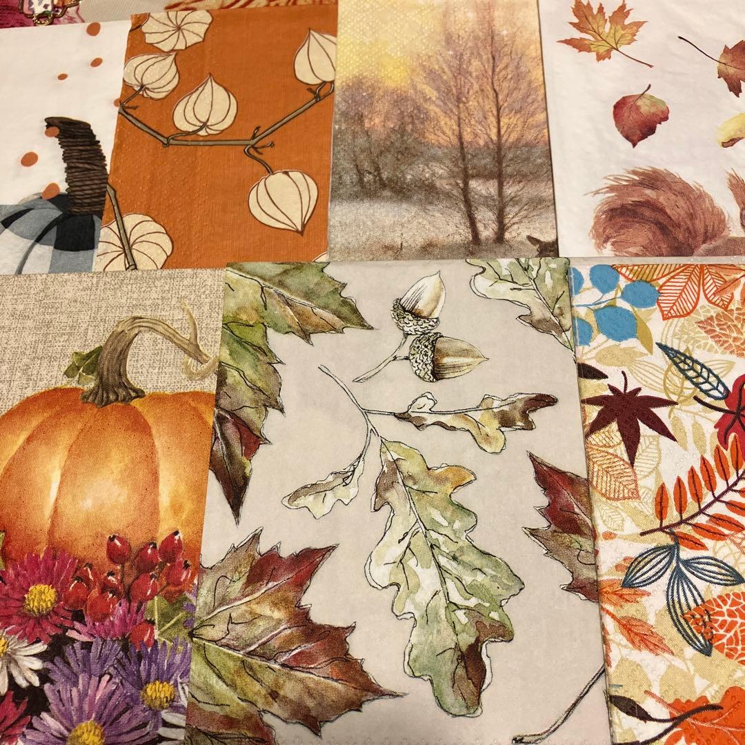 メグねず様 リクエスト 10点 まとめ商品