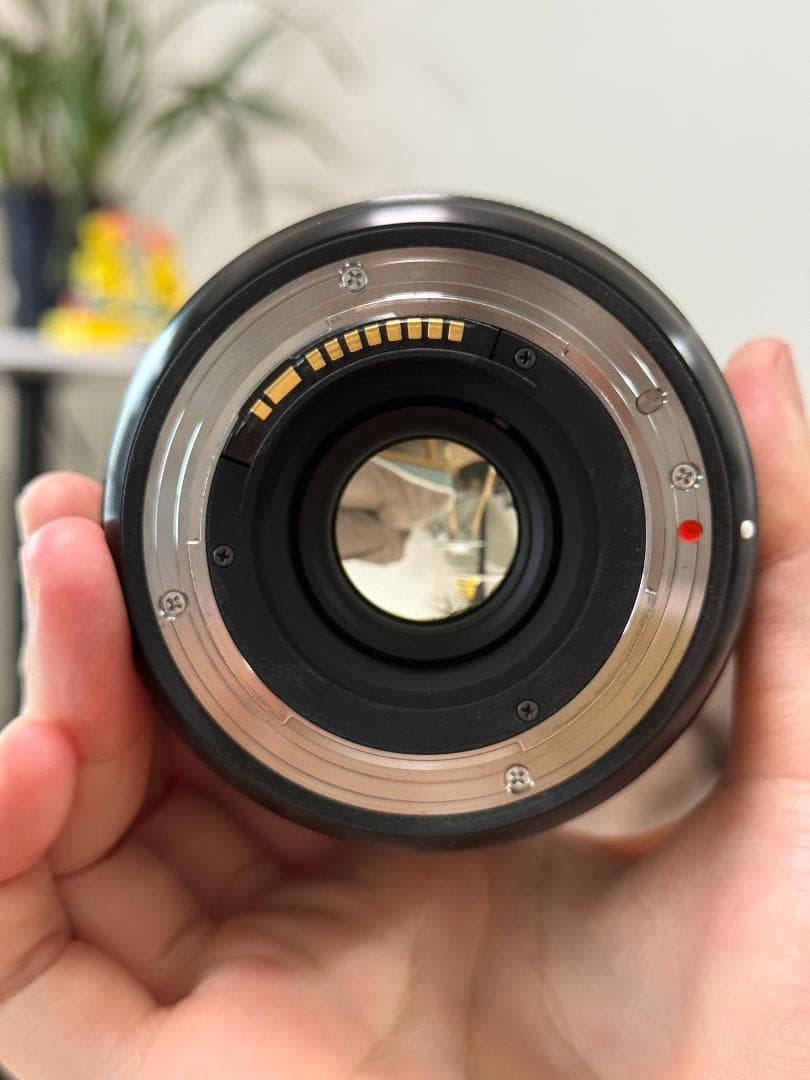 SIGMA Art 14-24mm F2.8 DG (キヤノンEF用)