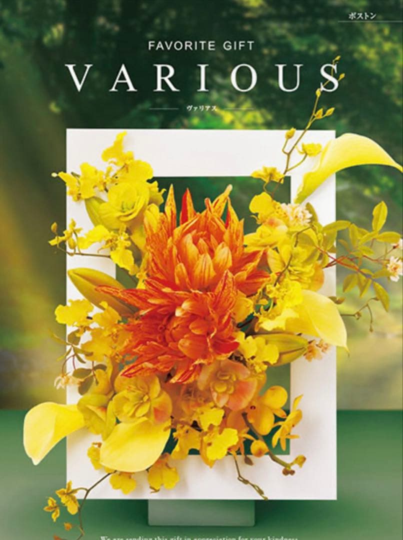 ヴァリアス ボストン【カタログギフト】【贈りものカタログ】