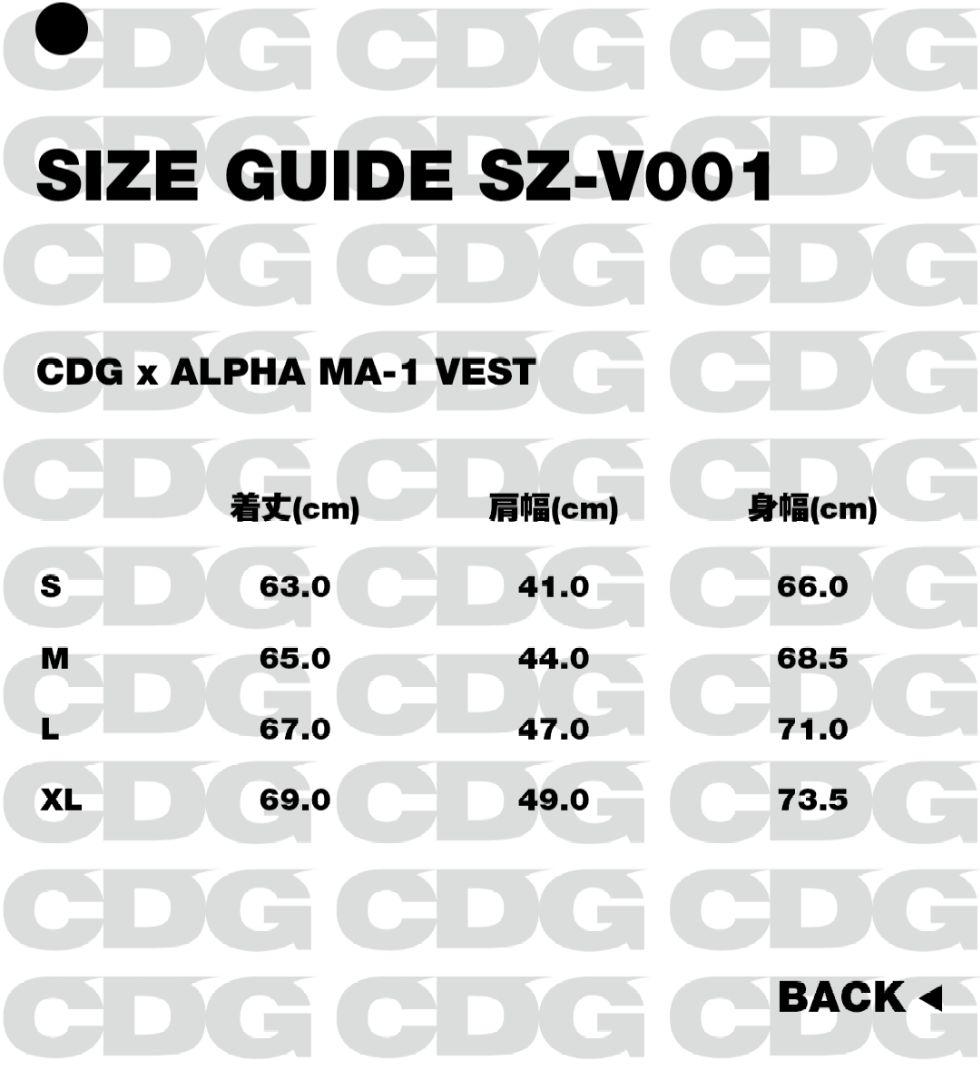 25aw 新品　sizeL CDG xALPHA INDUSTRIES VEST