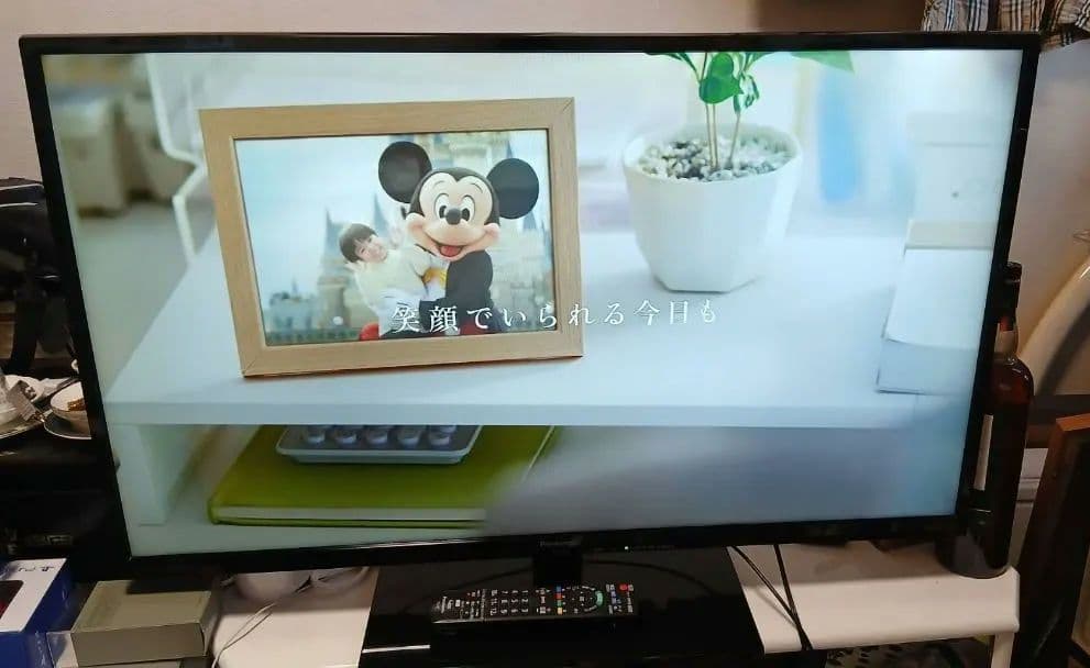 Panasonic　液晶カラーテレビ　TH-L39C60