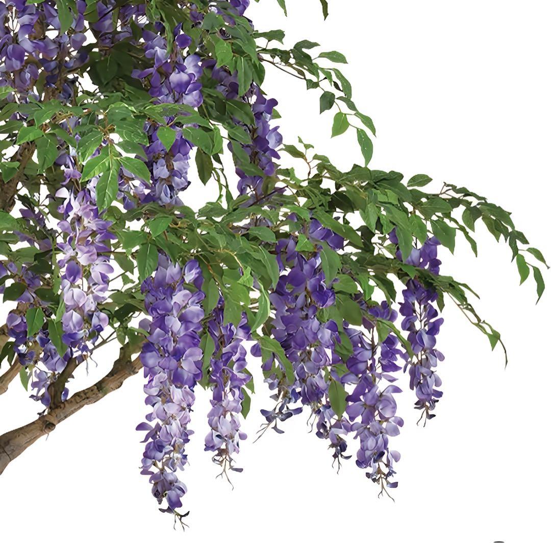 光触媒　人工観葉植物　ウォールグリーン　フェイクグリーン　藤コアッド鉢付き