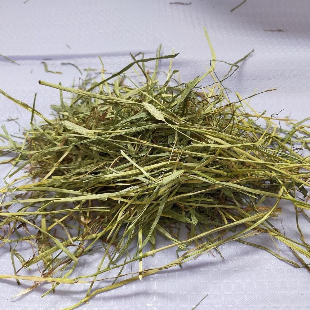 【業販価格】US産 チモシー 180kg ２番刈 ソフトSプレミアム