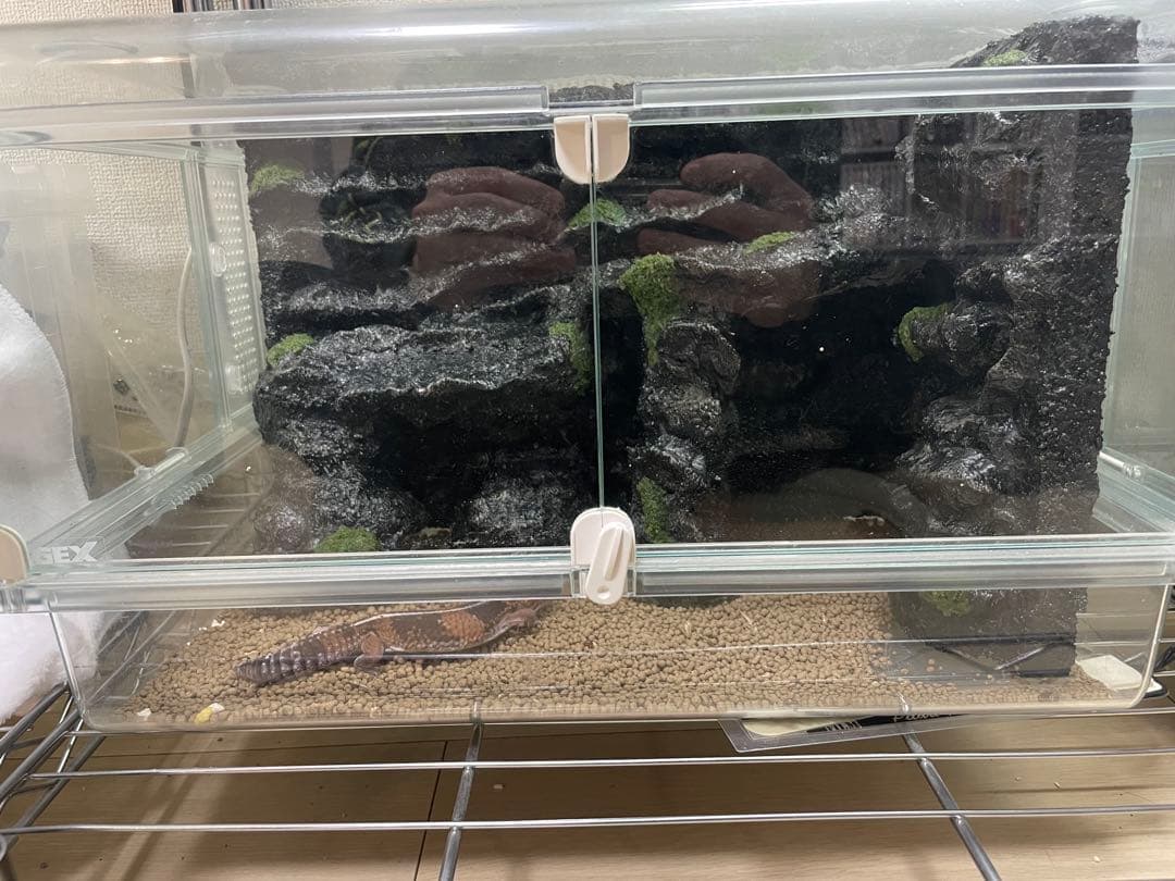 爬虫類レイアウト用品　グラスハーモニー　グラステラリウム　爬虫類ケージ