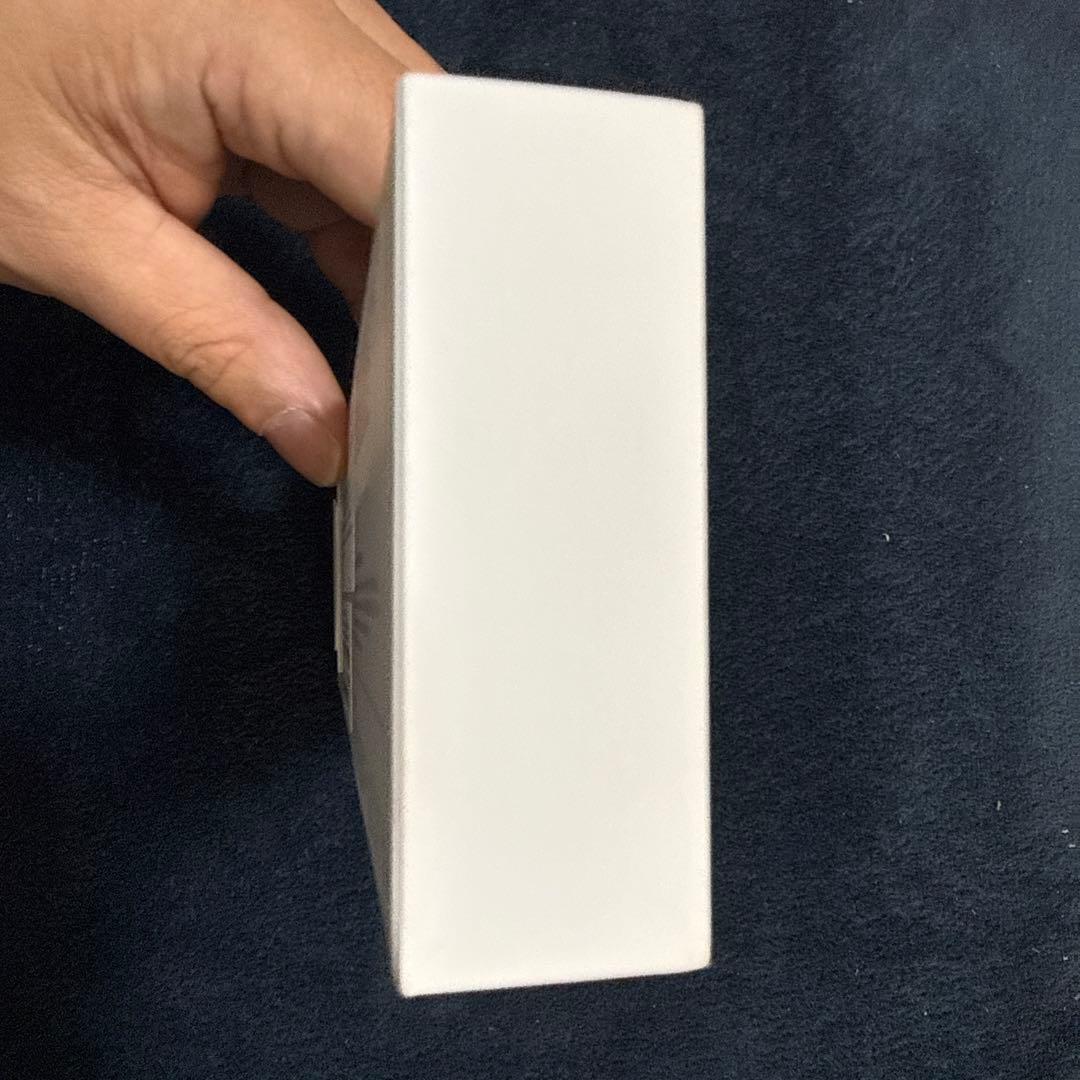 Apple Pencil（USB-C）新品未開封／正規品／即日発送可