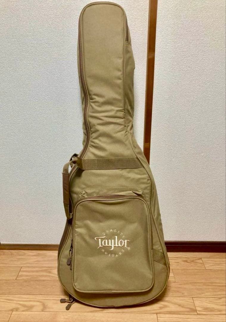 Taylor Academy 10e エレアコ アコースティックギター テイラー