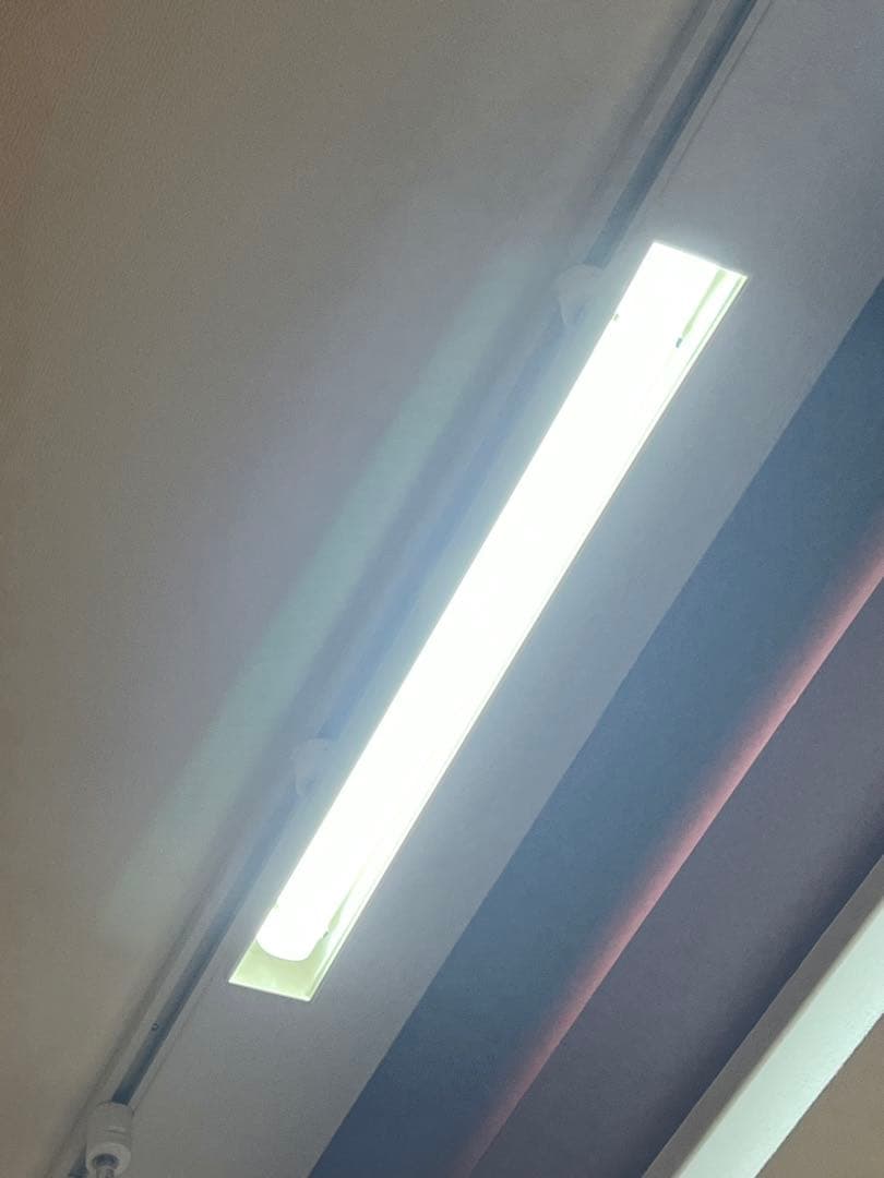 ダクトレール用ベースライト 600mm （昼白色） 2本セット