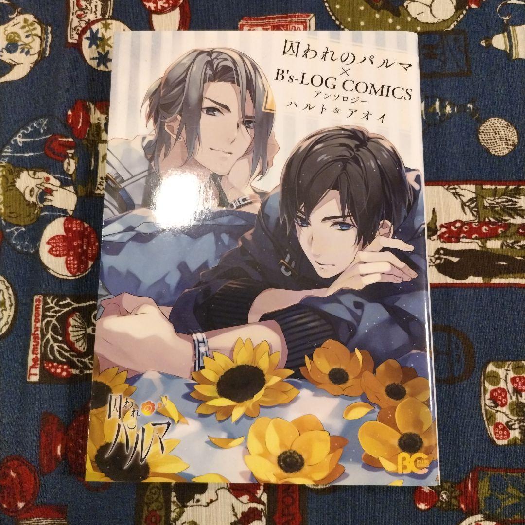 囚われのパルマ　アンソロジー3冊セット