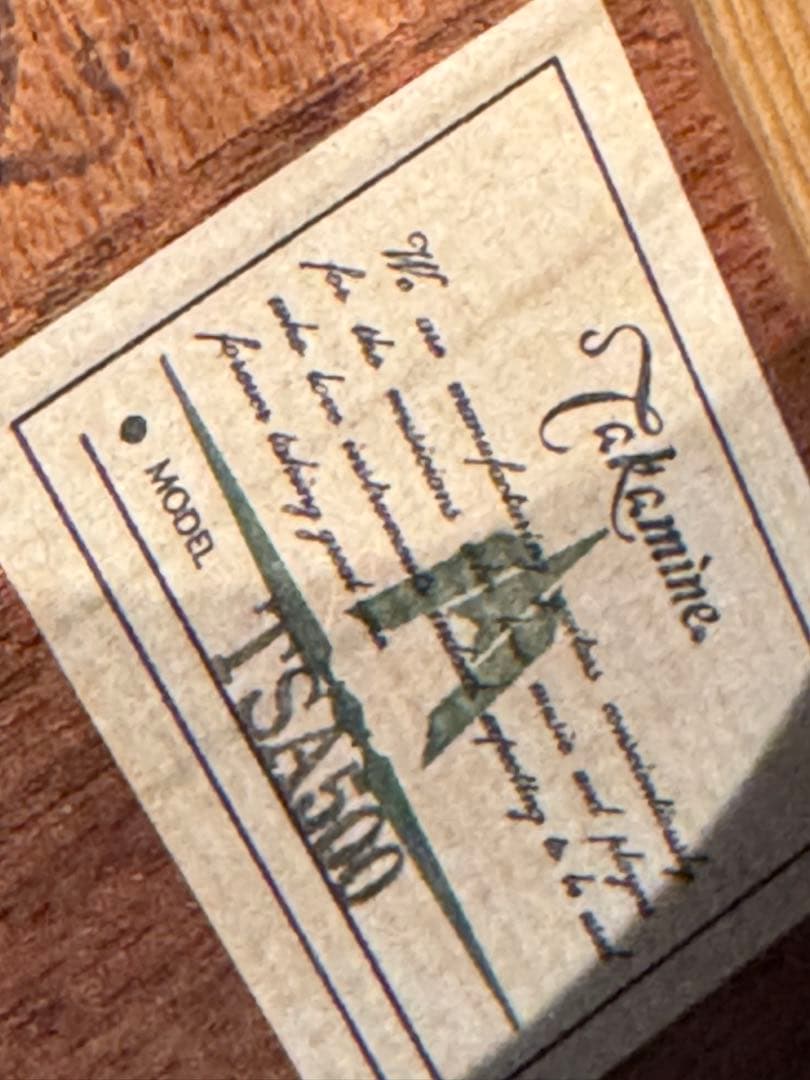 Takamine TSA500アコースティックギター 、ハードケース、チップ