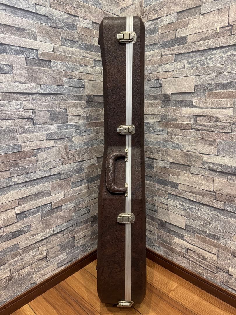 Takamine TSA500アコースティックギター 、ハードケース、チップ