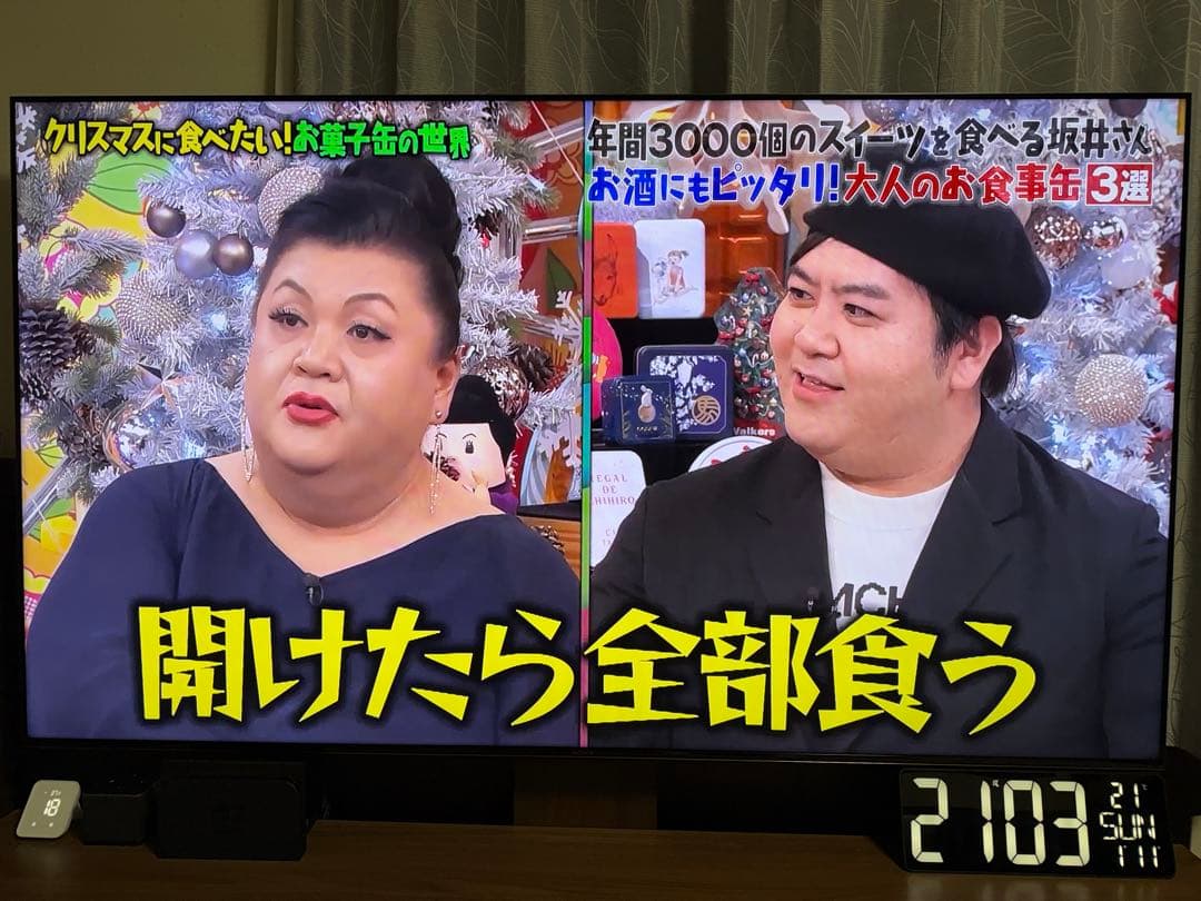 SONY ソニー BRAVIA ブラビアXRJ-75X95J 75型4K テレビ