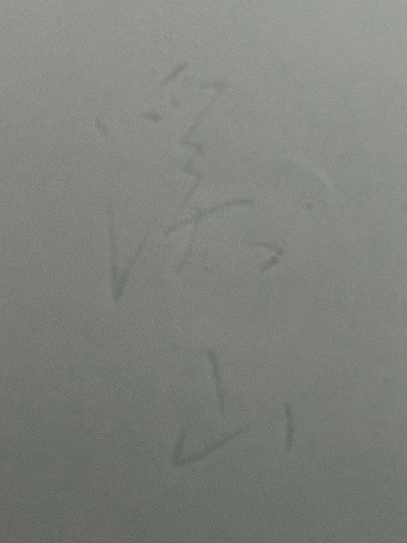 加藤渓山　青白磁唐草皿　5枚　お値下げしました