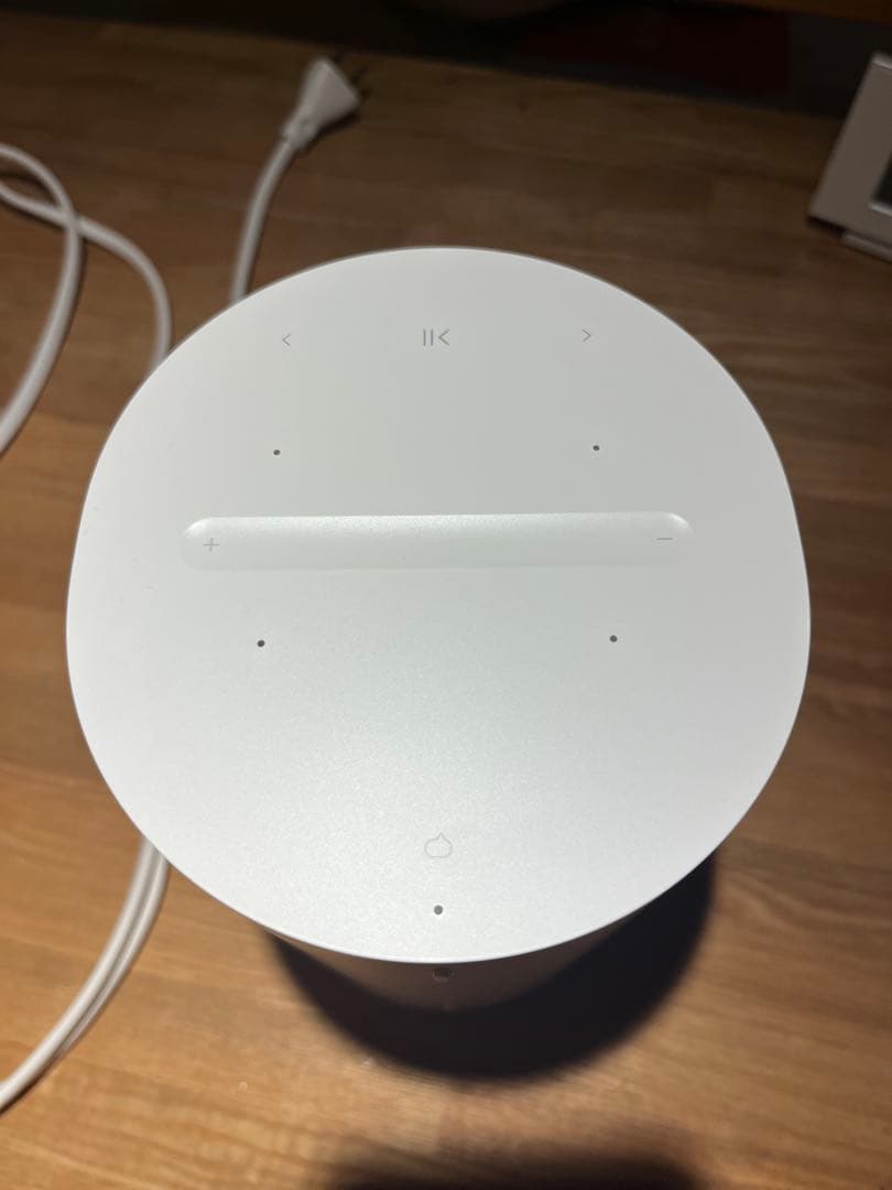 Sonos ERA 100 ソノス　エラ100