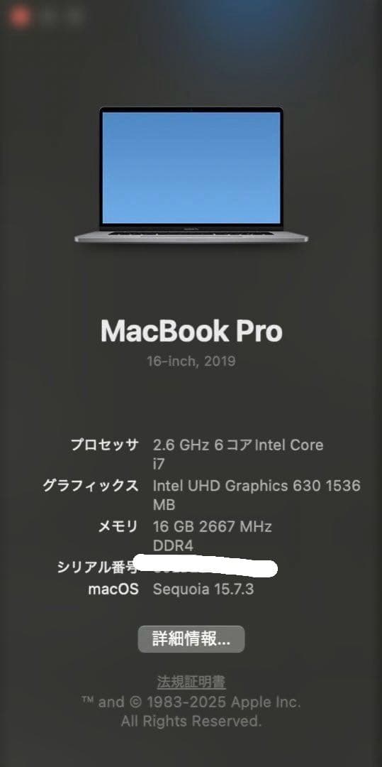 【充放電63回】極美品MacBook Pro 16インチ2019