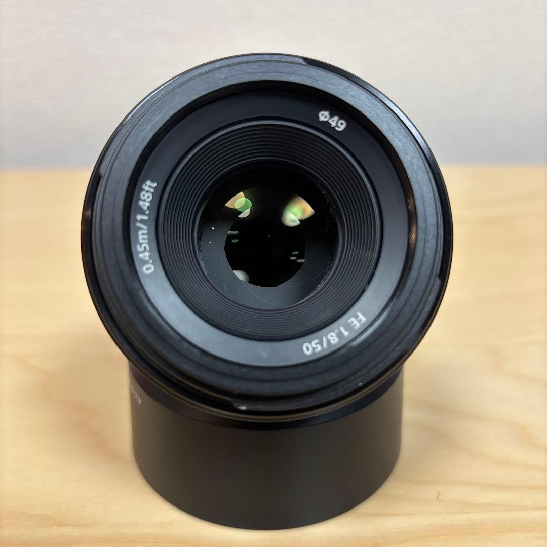 レンズ(単焦点) SONY FE50mmF1.8 SEL50F18F