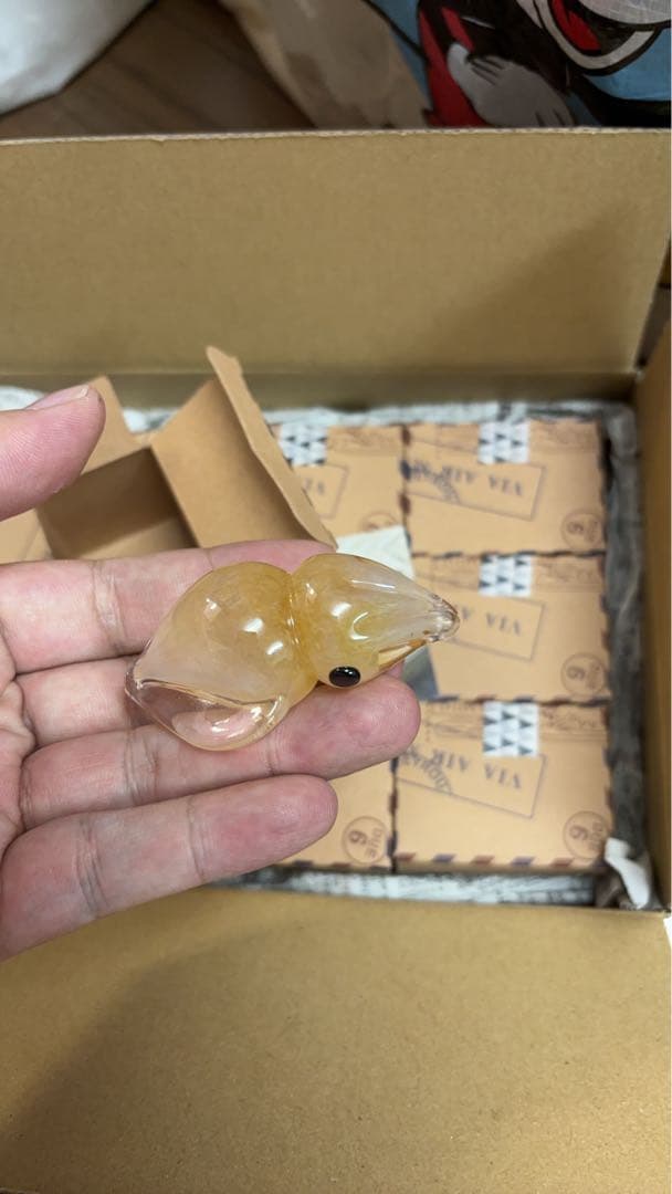 ガラスのホタルイカ 2個セット(生、ボイル)