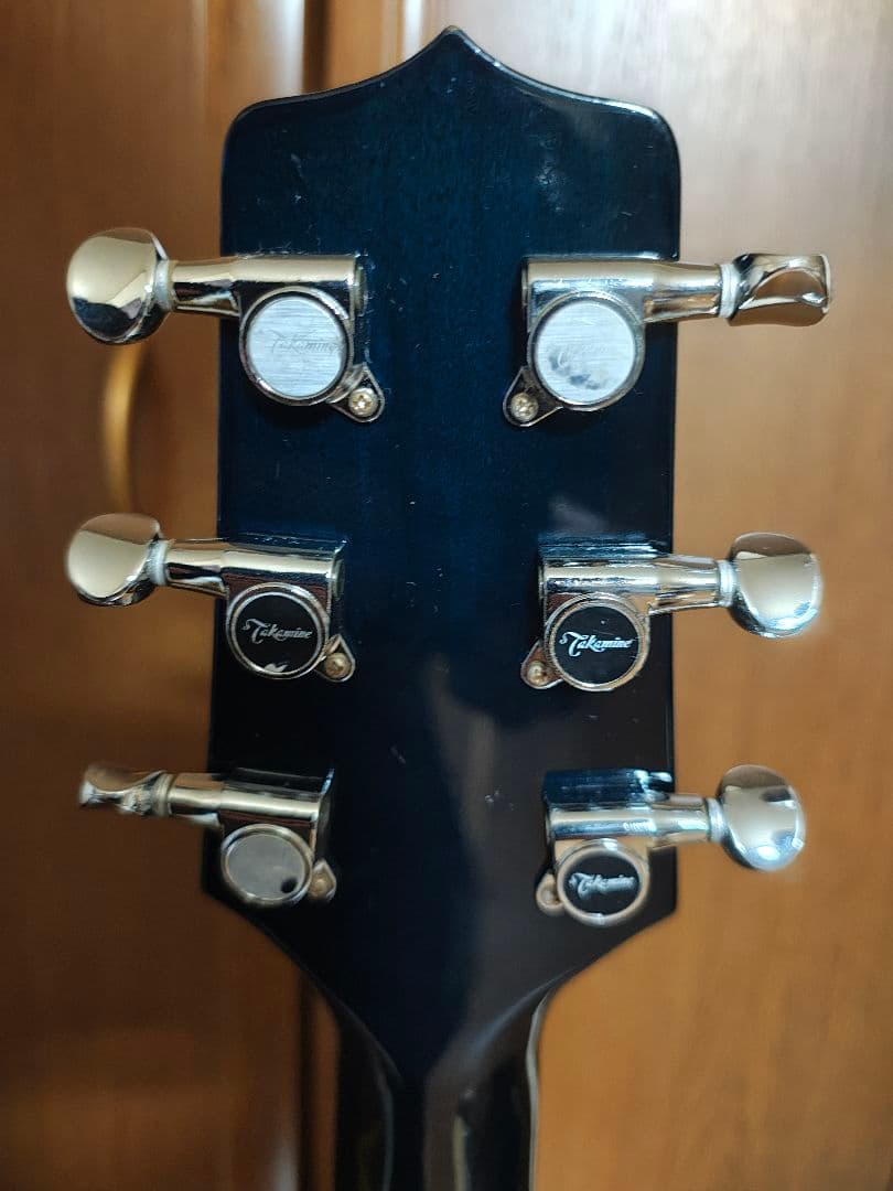 タカミネ　エレアコ　TP106