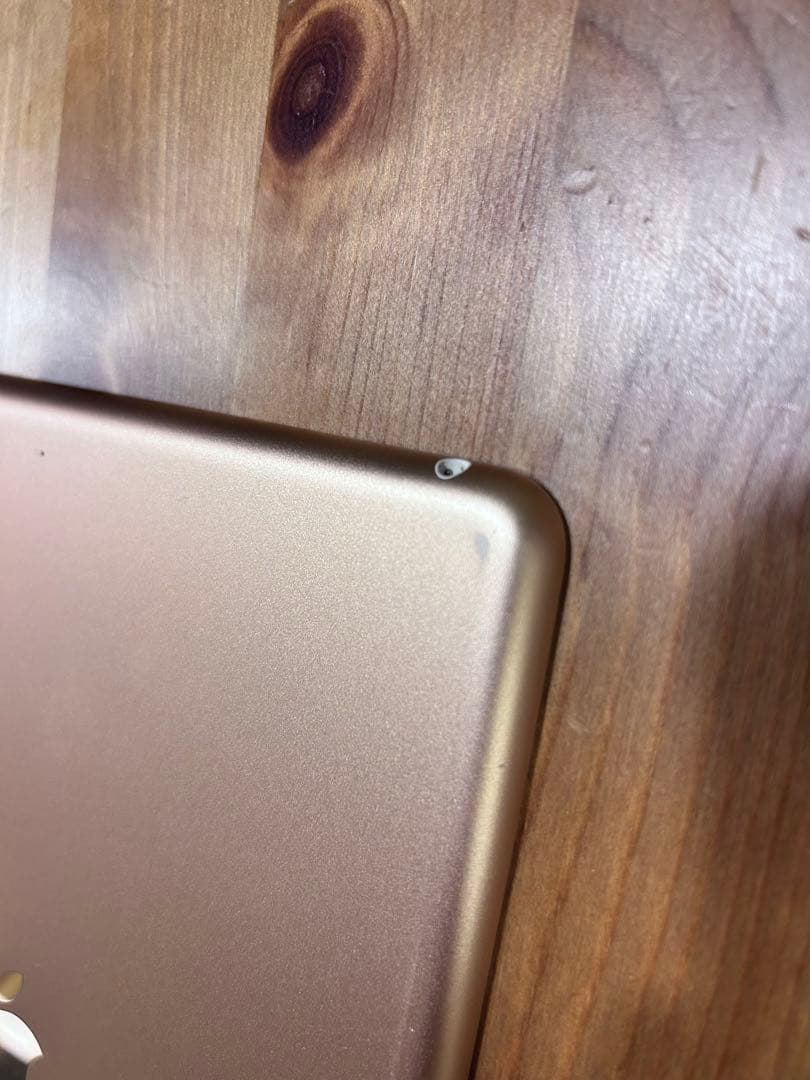 iPad (第6世代), カバー、Apple ペンシル付き