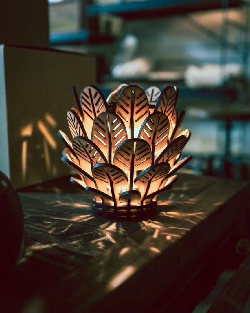 what we want 神代より希少！？サテンシカモア