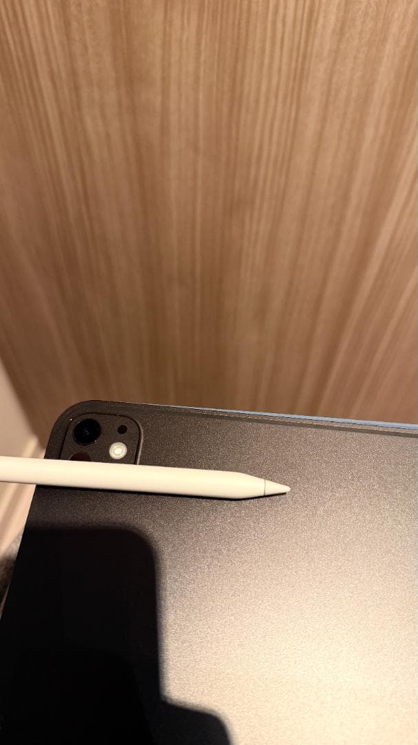 iPad本体 iPad Pro (M4) 11 inch Wi-Fi 256GB(A2836)