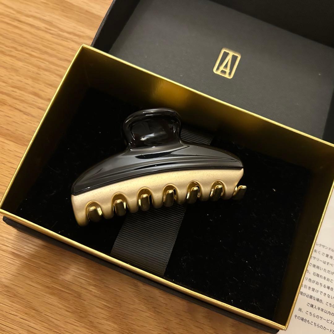 アレクサンドルドゥパリ Mクリップ（ブラック）美品