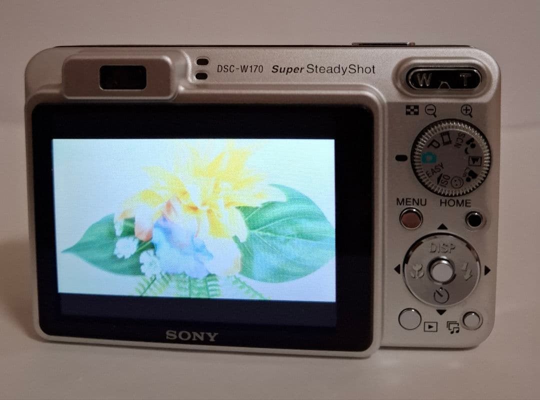 ソニー SONY Cyber-Shot DSC-W170 デジタルカメラ