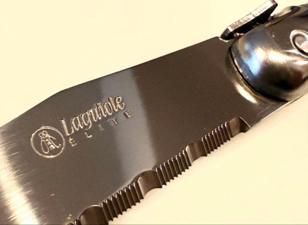 Laguiole elite カトラリーセット24本入シルバー　刻印入り5セット