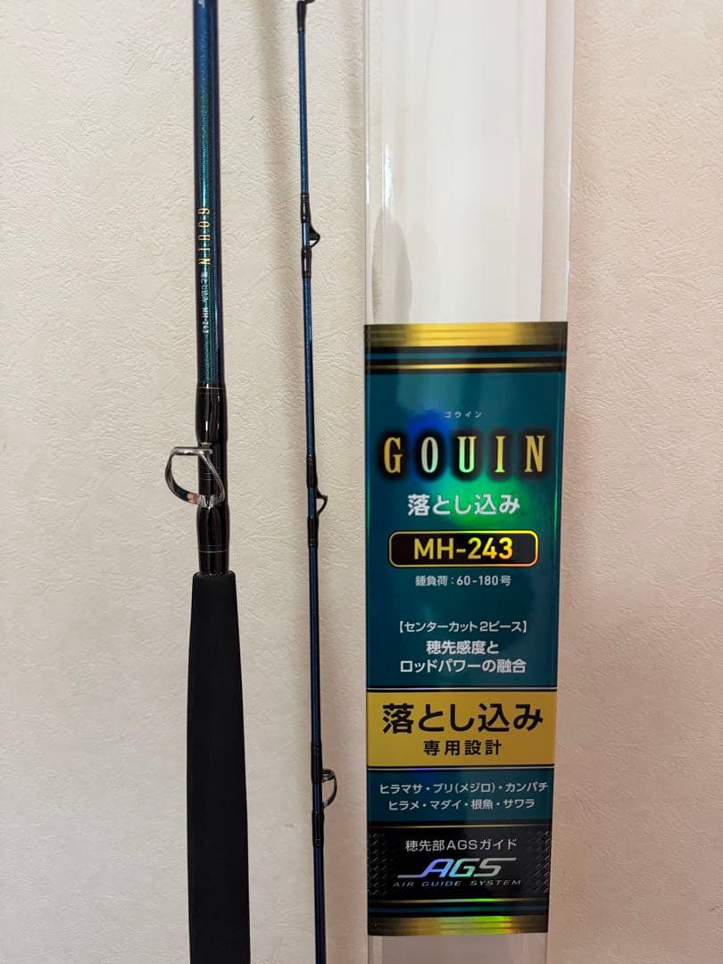 DAIWA ゴウイン落とし込み⭐︎美品