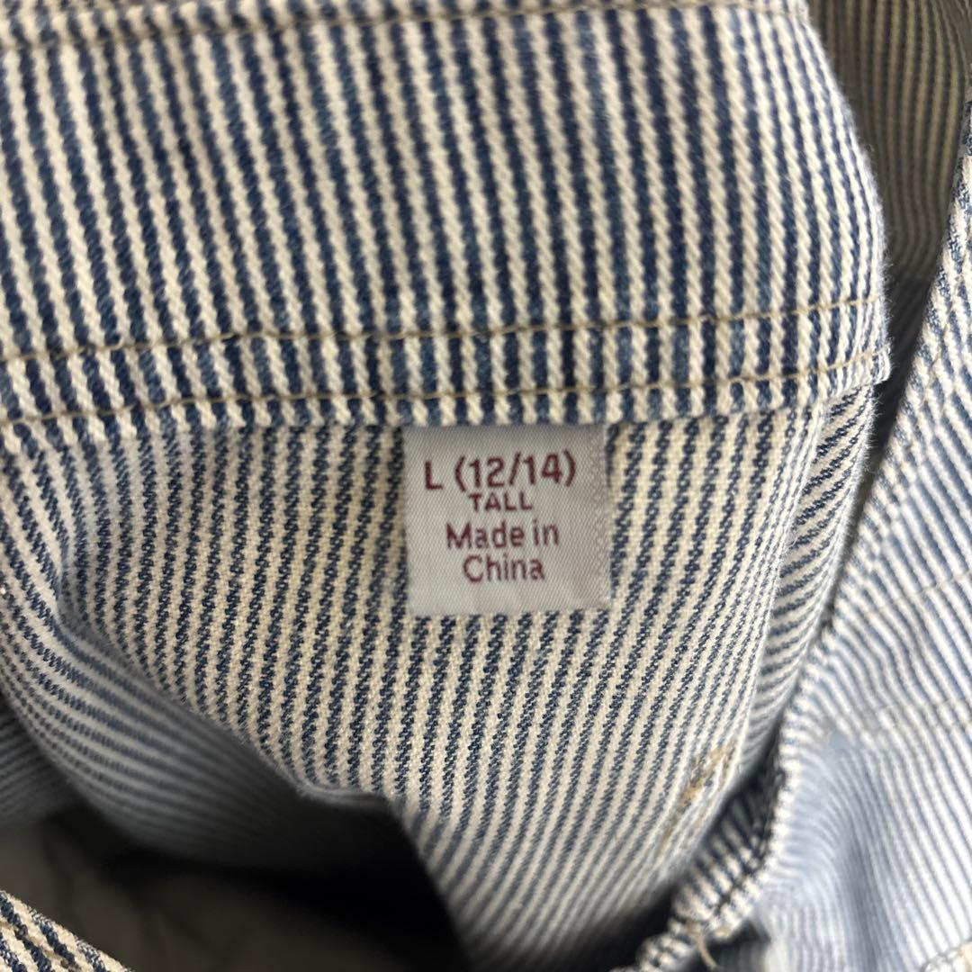 Carhartt ストライプ オーバーオール