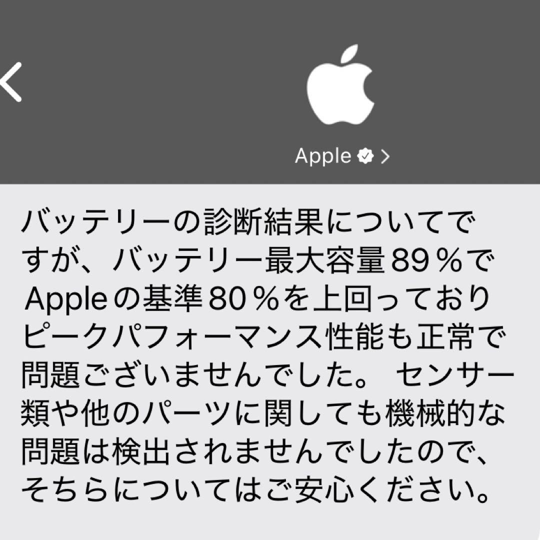 【今夜だけ値下げ】Apple iPad mini 6 256GB Pencil