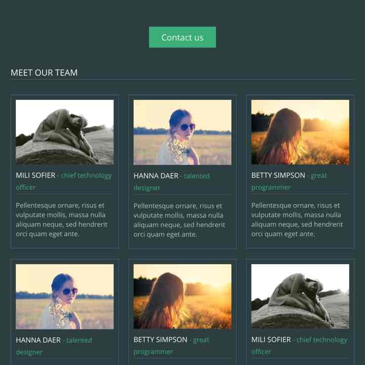 Webサイト運営マニュアル＋おしゃれなwebサイト600種類の中から1つ