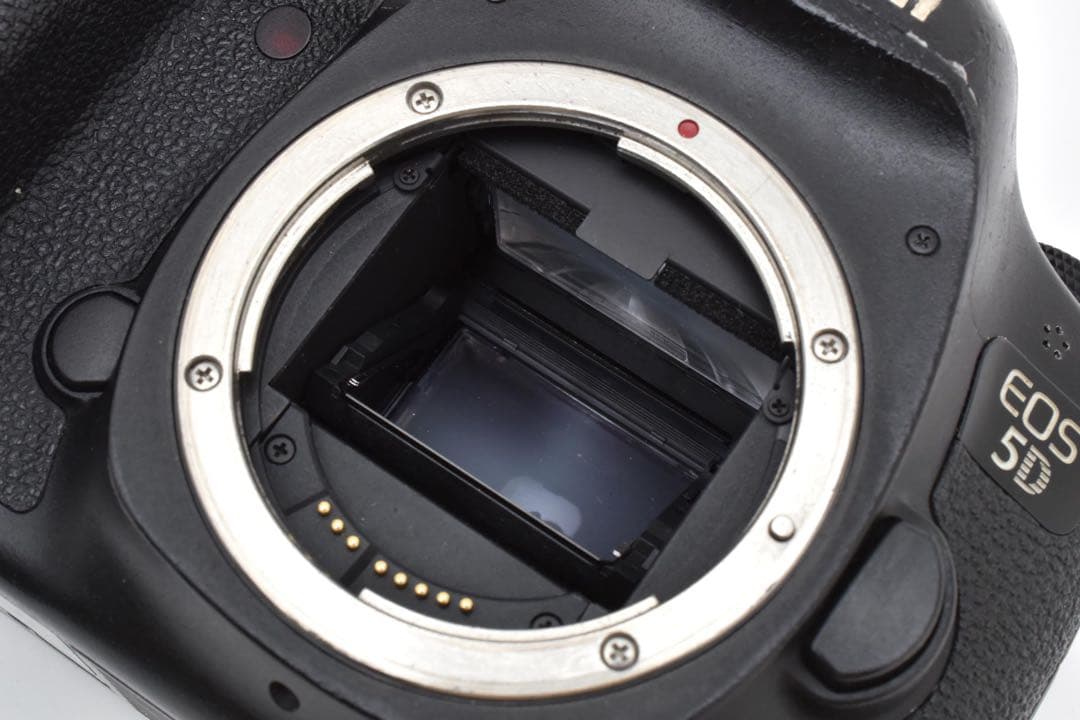 Canon EOS 5D mark III標準&望遠ダブルレンズセット