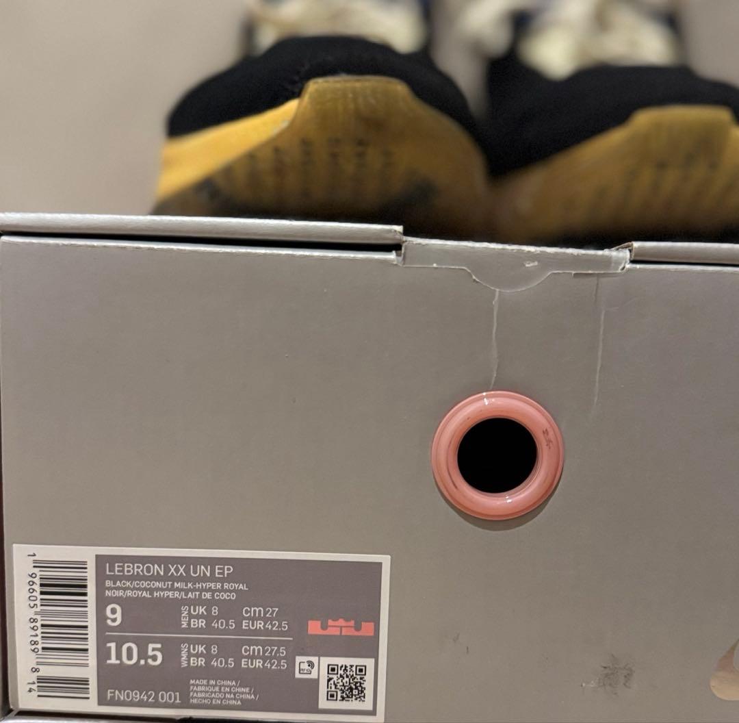 Uninterrupted × Nike LeBron 20