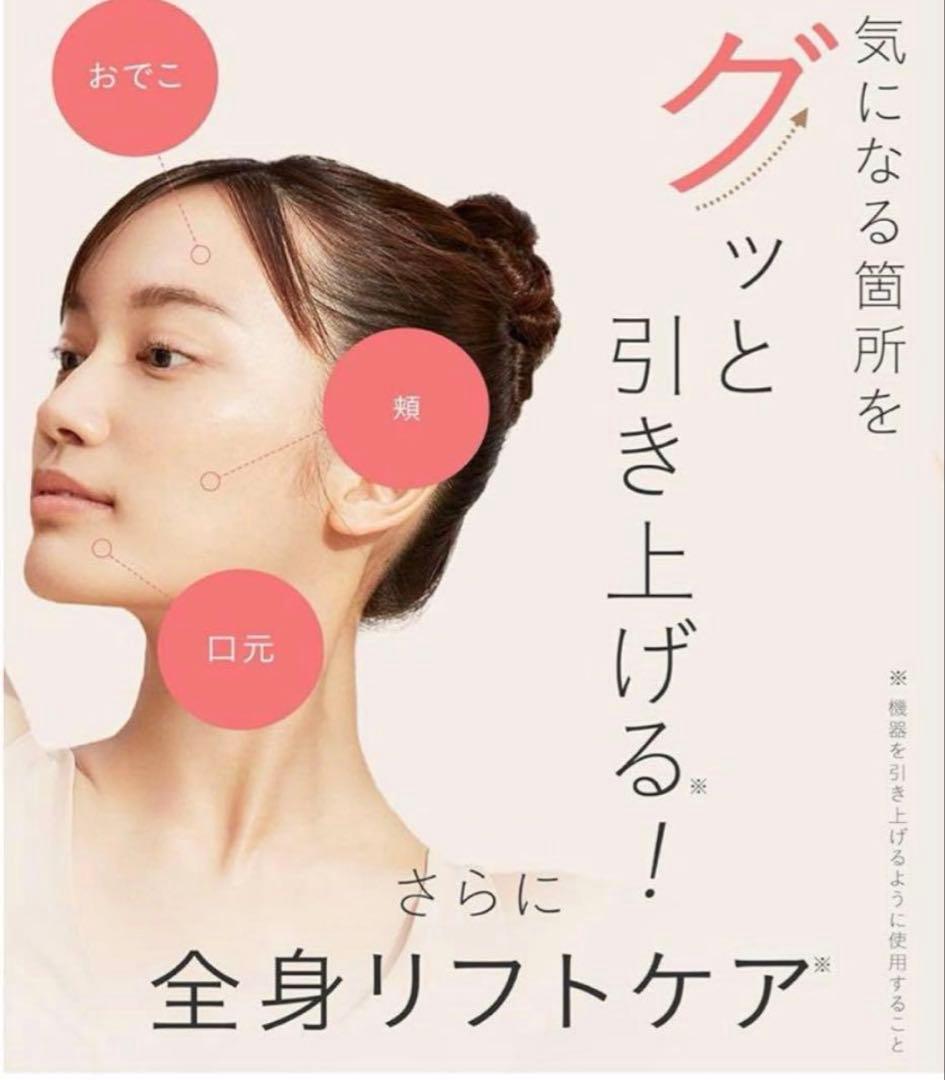 SALONIA EMS LIFT BRUSH サロニア 電気ブラシ　リフトブラシ