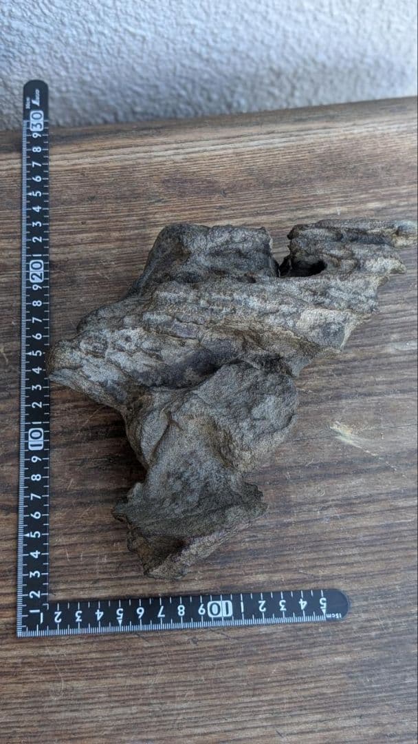 古谷石　水石　鑑賞石