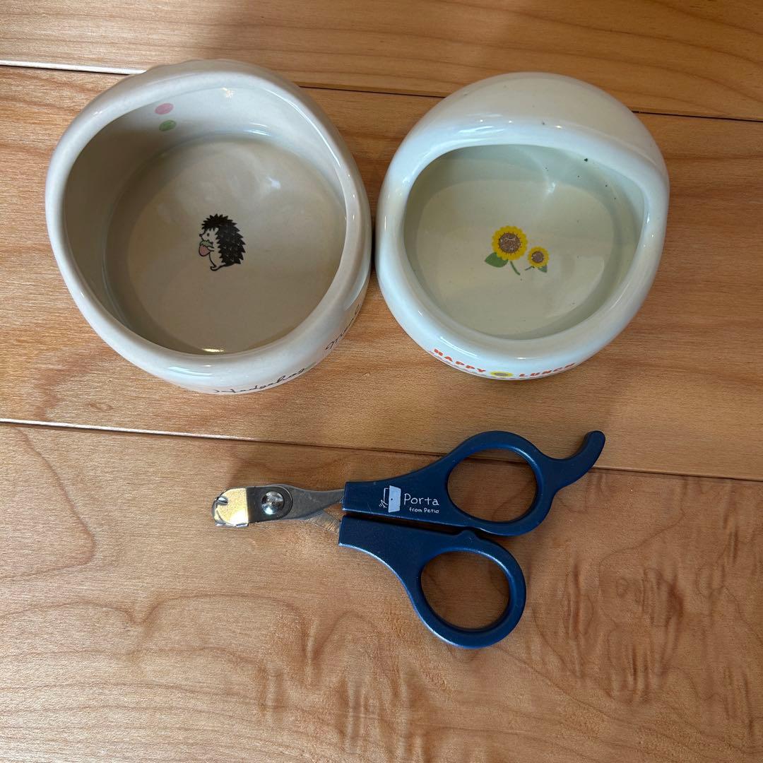 ハリネズミ飼育セット