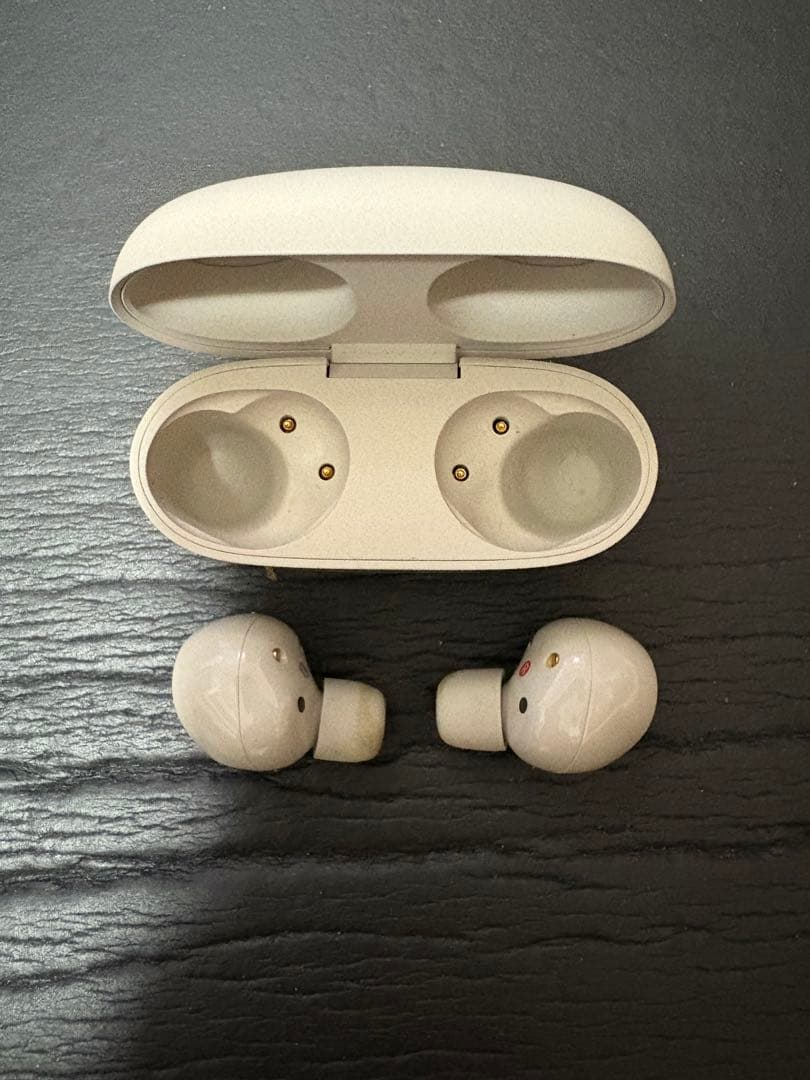 SONY ワイヤレスイヤホン 充電ケース付き WF-1000XM5