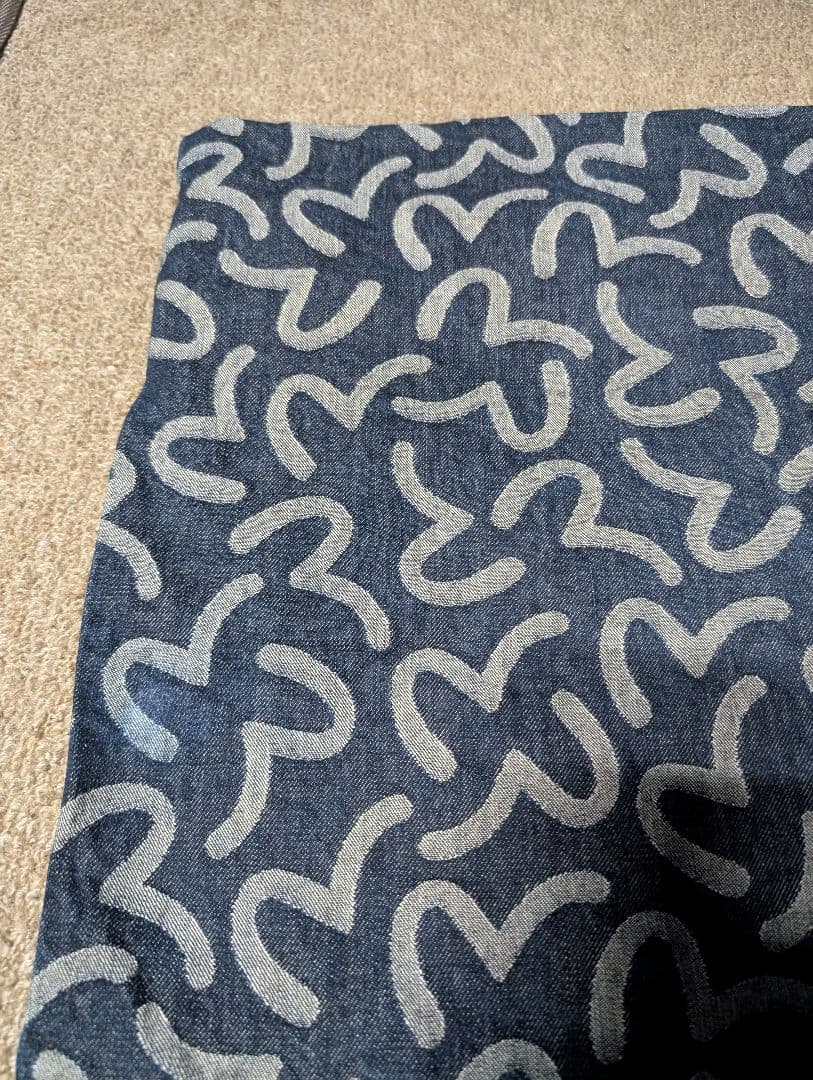 EVISU エヴィス　デニム　カモメ柄クッションカバー